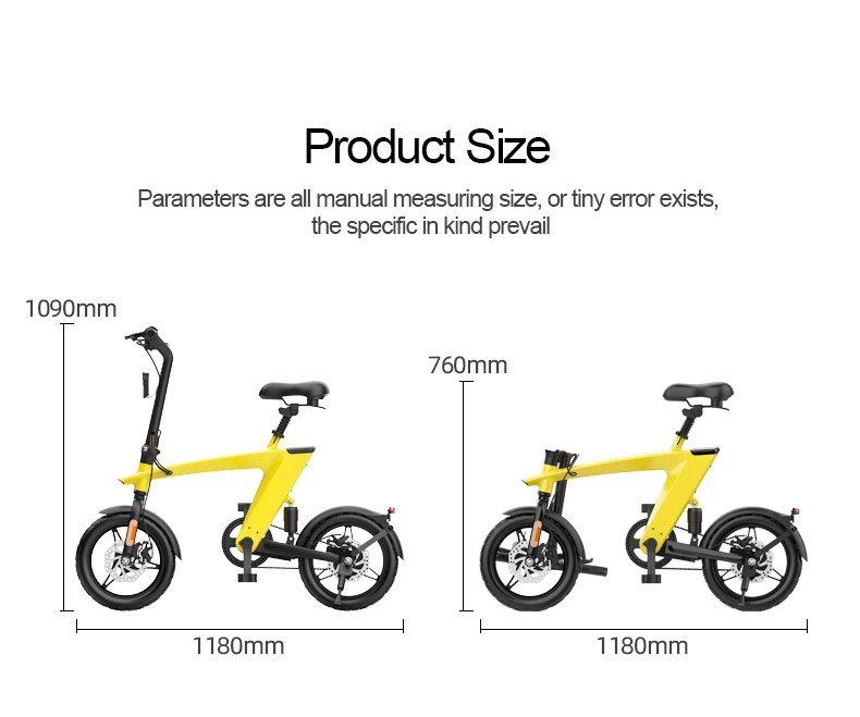 Mini High Speed Foliding Electric Bike Adult Outdoor Bicycle 36V 250W