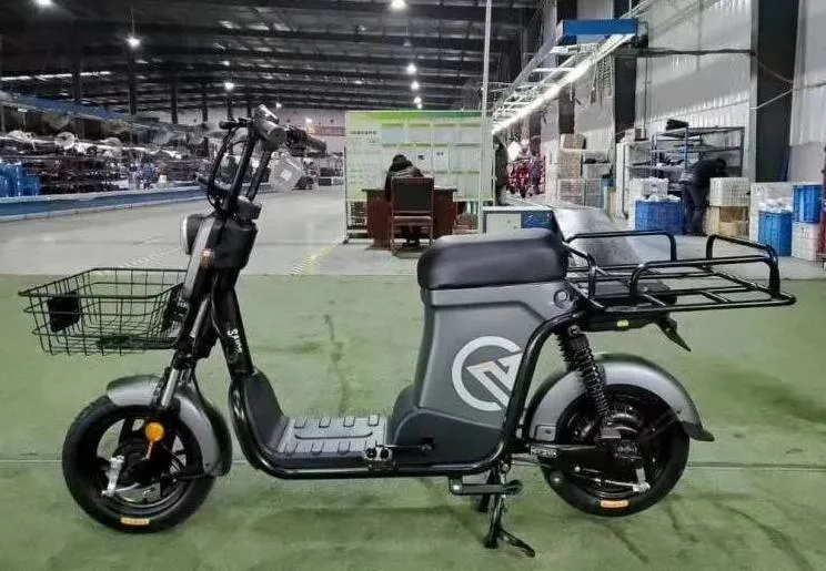 Saige Delivery electric Bike with Cargo Carrier