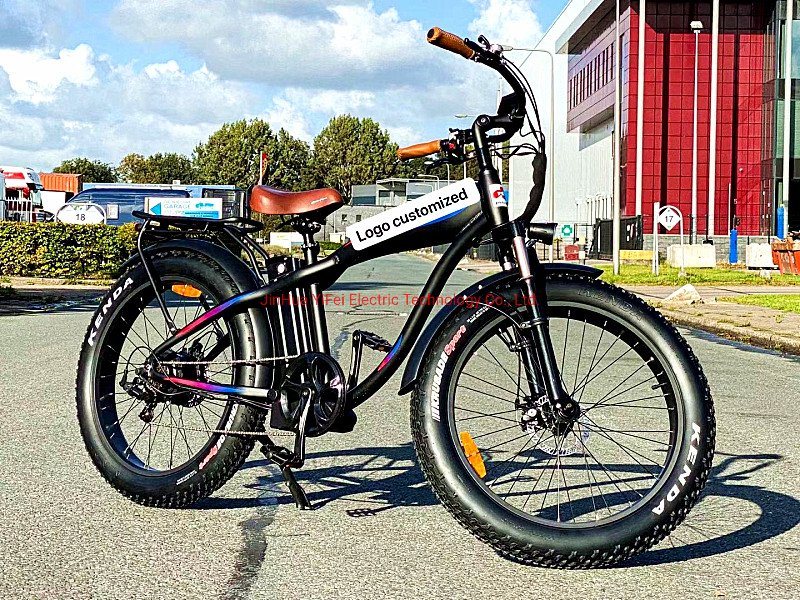 Electric Powerfull Motor Harley with Battery Electric Bike Electric Harley Bicycle Ebike