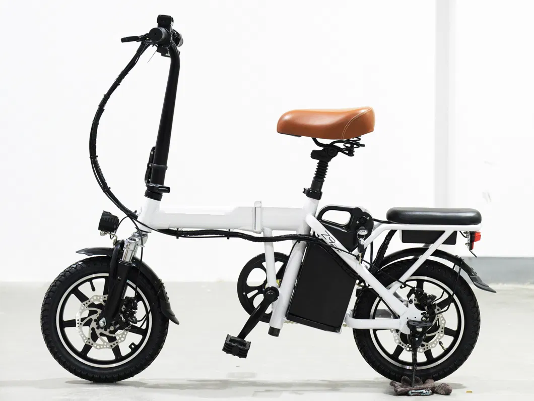 2023 Electric Bike / 48V 250W Fat Tire Foldable Electric Bicycle/ Folding Ebike