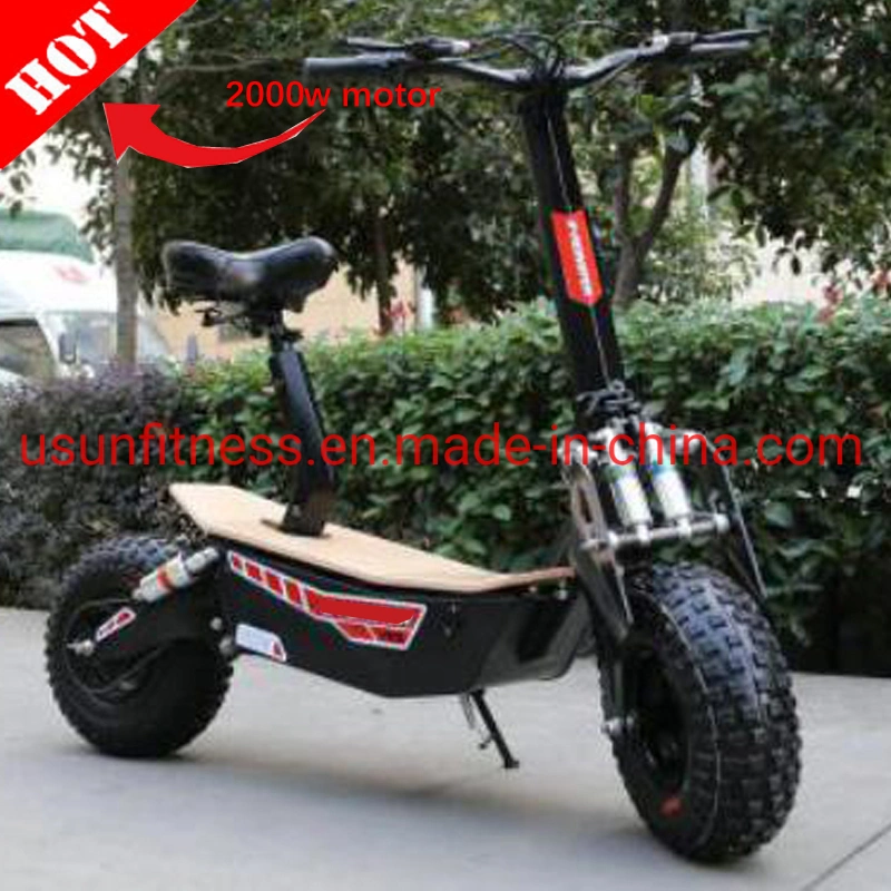 Promotion High Speed Folding Electirc Scooter Adult Electric Bike Electric Bicycle E-Scooter 1000 W 48 V 20 Ah with CE