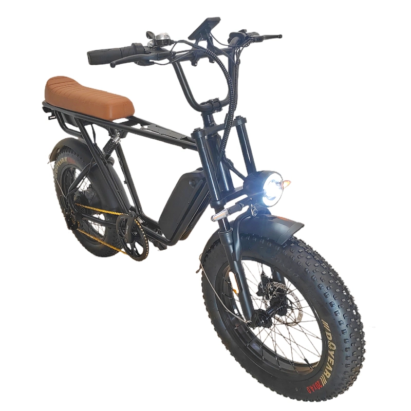 Popular New High-Quality 20 New Fat Tire Electric Bike