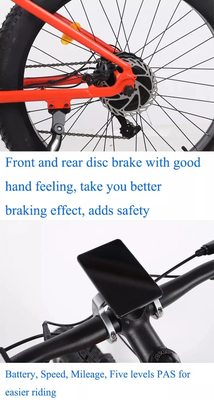 Easy-Try Custom Cheaper Bicycle 500W Electric Cycle Hidden Battery MTB Ebike