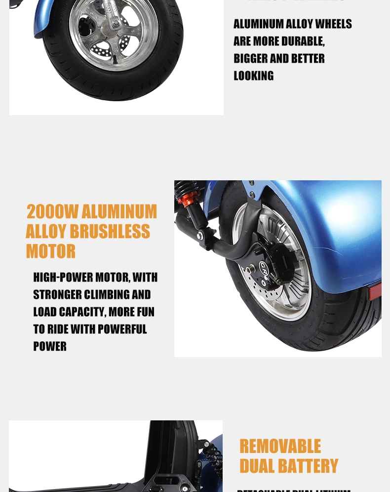 Citycoco Electric Scooter 2 Wheel with Fat Tire Popular 2000W 60V CE with Removable Lithium Battery 1500W-2000W 30-50km/H 6-8h