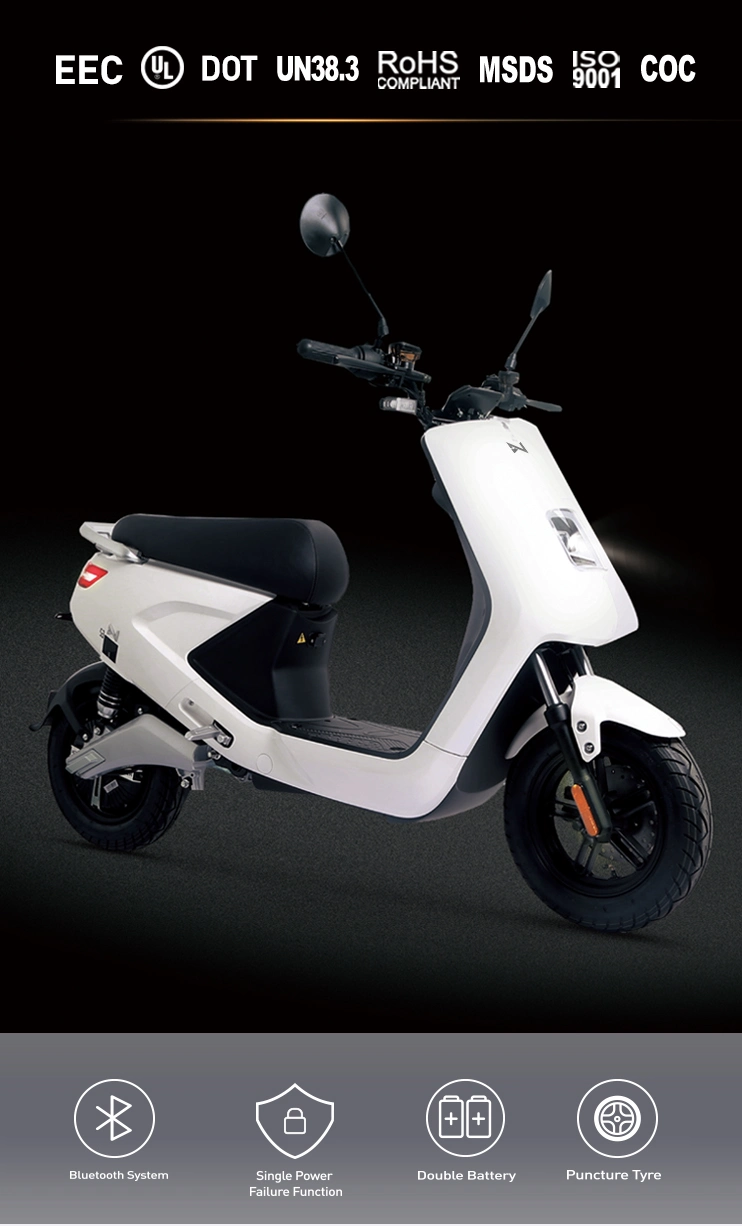 48V EEC Electric Scooter for Adult with Lithium Battery