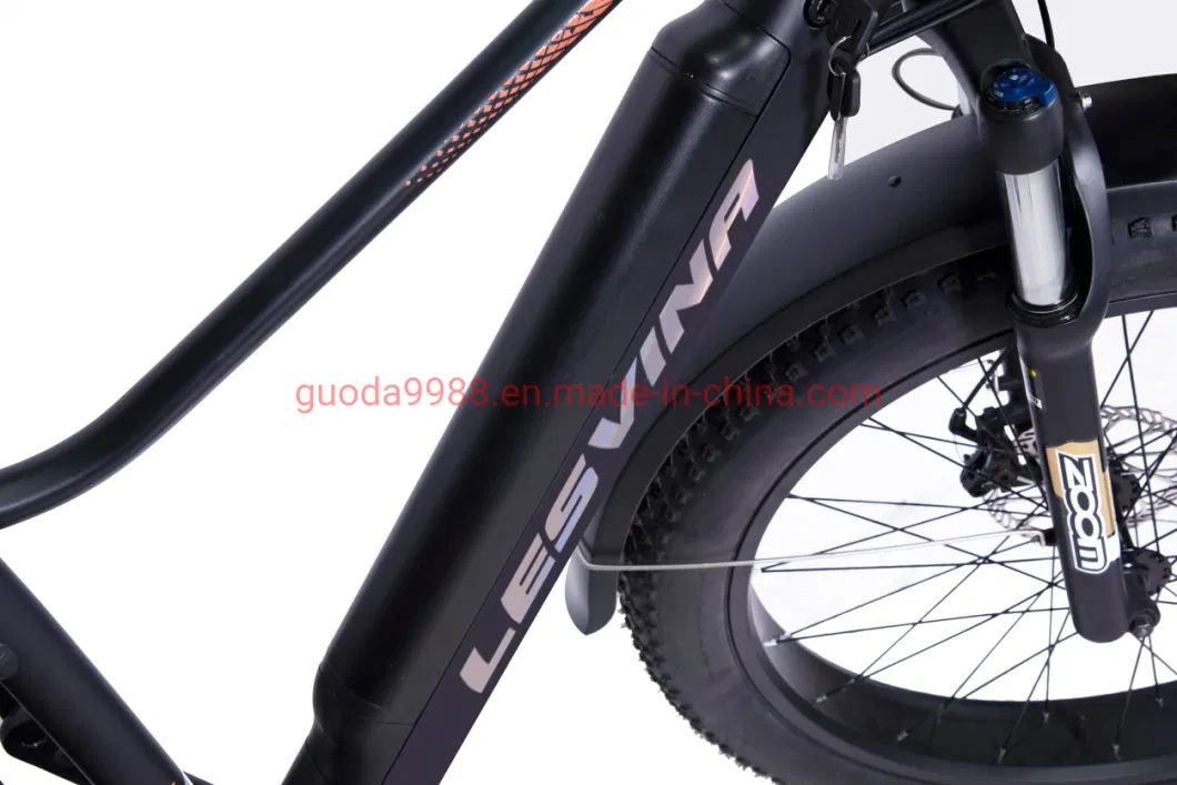 China Wholesale 750W48V Electric Bike Adult Electric Bicycle