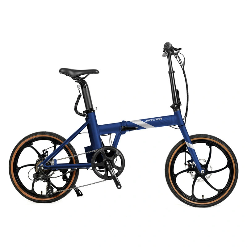 Mini Electric Bike Folding/Folding Electric Bike EU