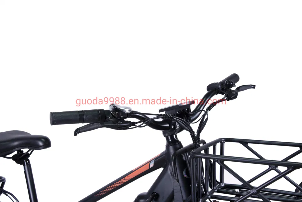 China Wholesale 750W48V Electric Bike Adult Electric Bicycle