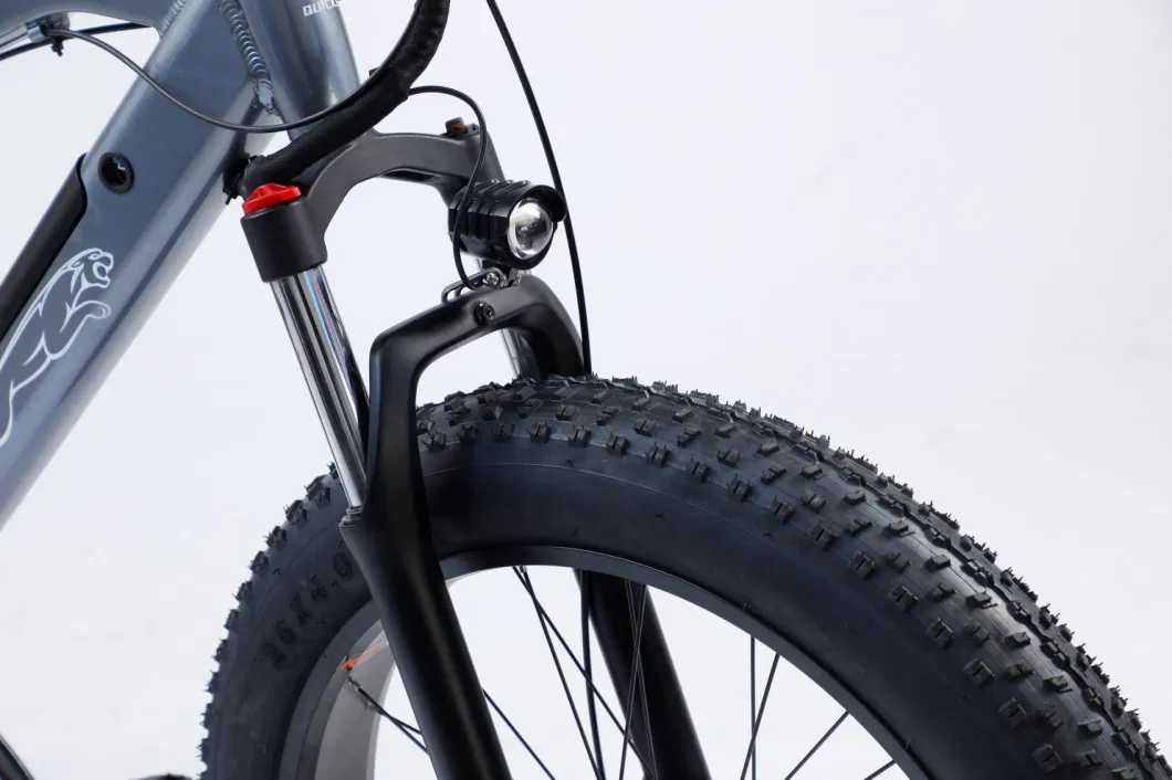 Chinese Supplier Retro Offroad Heavy Duty Enduro E Bike Electric Bicycle Mountain Bike