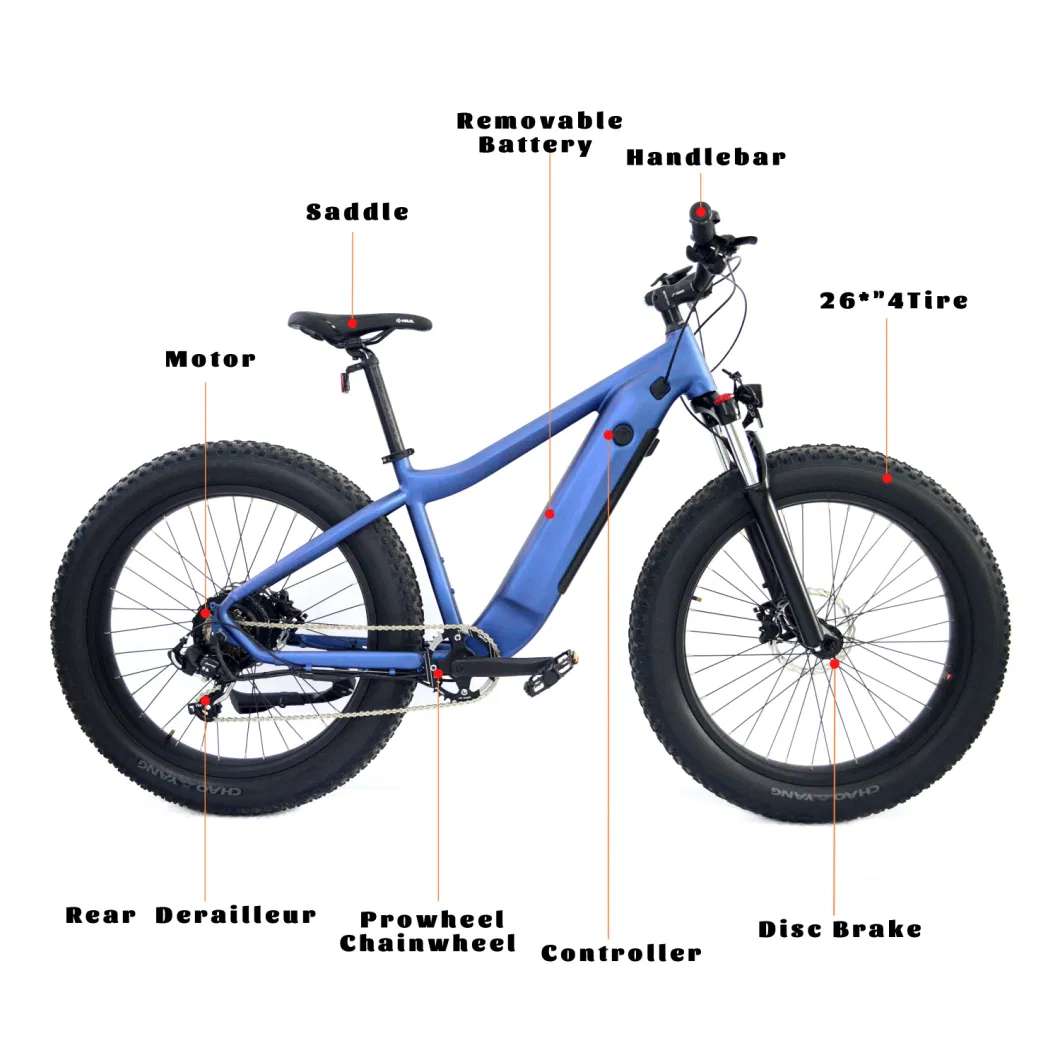 26 Inch Fat Tire Electric Bicycle PAS Assistant Bike Lithium Battery 48V13ah, 624wh Male Mountain Ebike