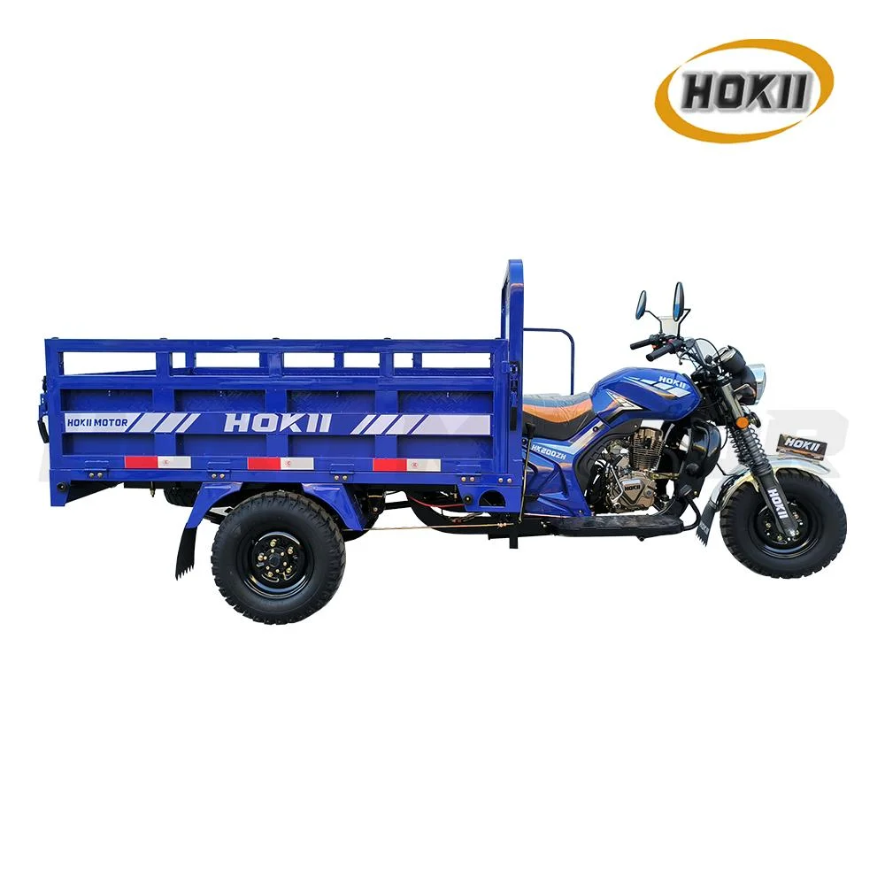 250cc Gasoline Tricycle Cargo Petrol Engine Hot Sale 2023 New Design Heavy Load Triciclo with Booster Axle for Sale