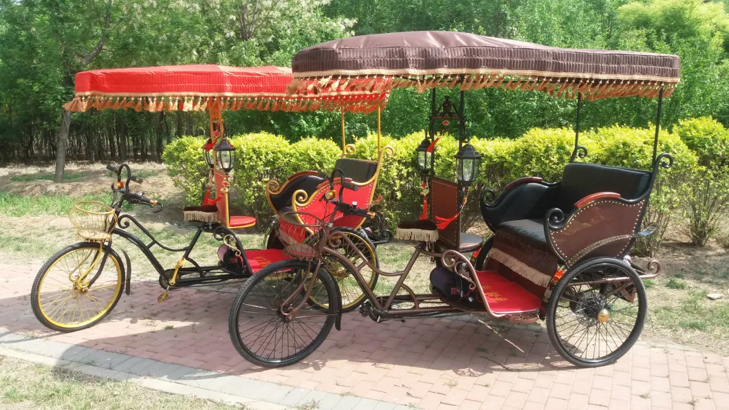 Three Wheel Motorized Tricycles Electric Rickshaw Pedicab