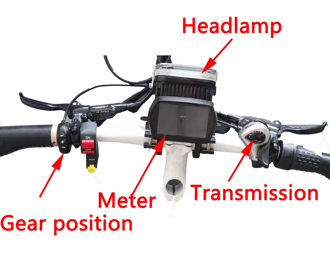 Electric Bike Adult Steel Bomber Mountain Fat Bike 48V/60V 2000W/3000W/5000W Motor 20ah/30ah/40ah Battery