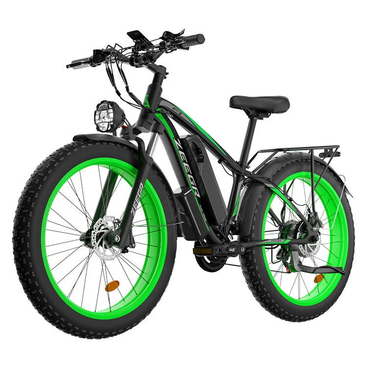 Men&prime;s and Women&prime;s Electric Bicycles Made in China Price Concessions Welcome to Buy