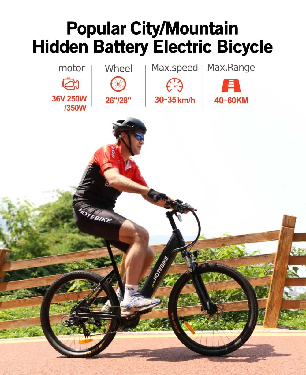 Wholesale Multifunctional Electric Bicycle 36V 25W Mountain Bike 26inch
