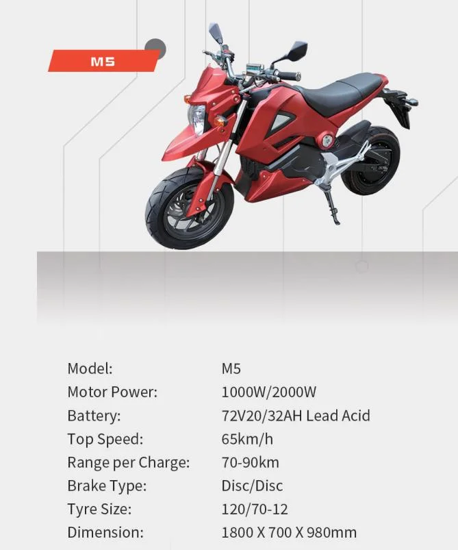 Saige 3000W 72V 32ah 60km/H High Speed Electric Motorcycle