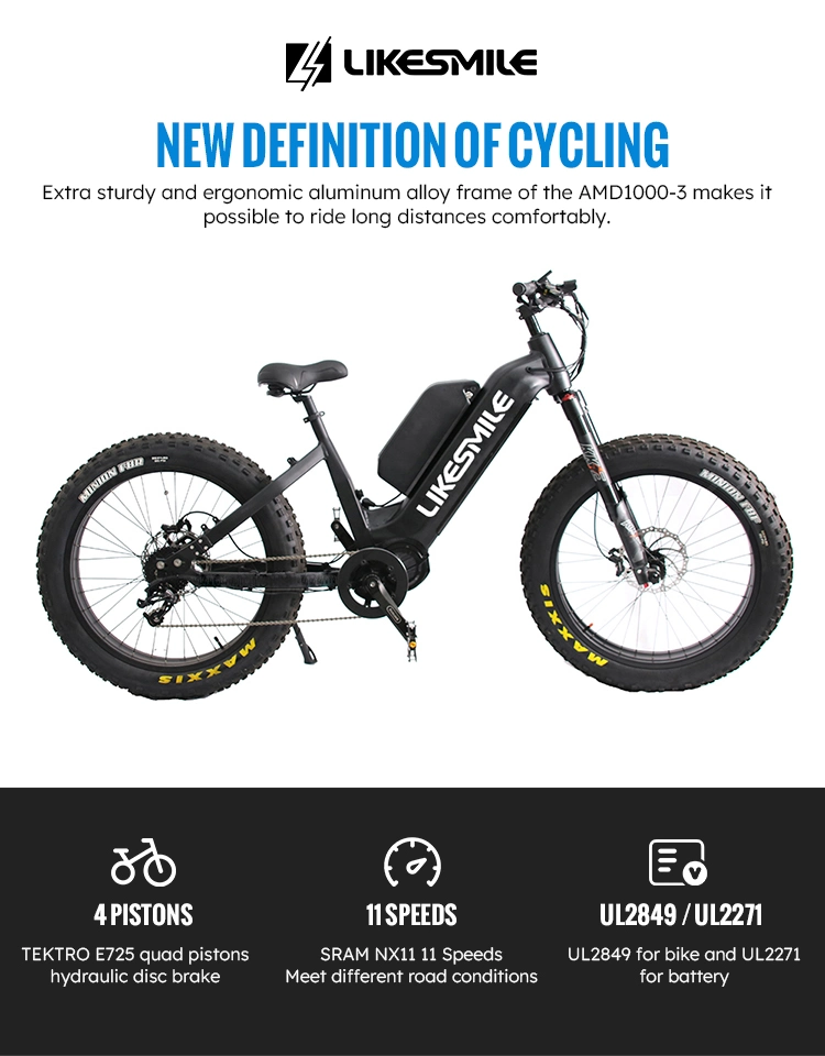 Exclusive Factory Direct Sale: Electric Mountain Bike with 48V 1000W 30ah Specs and Full Suspension