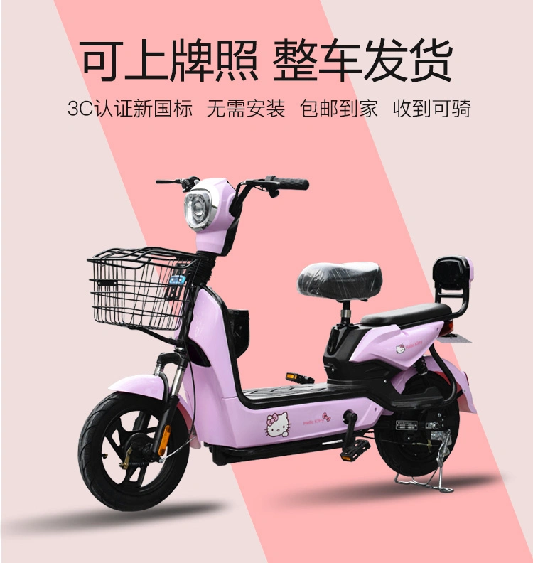 Fashion Electric Bike for Men and Women