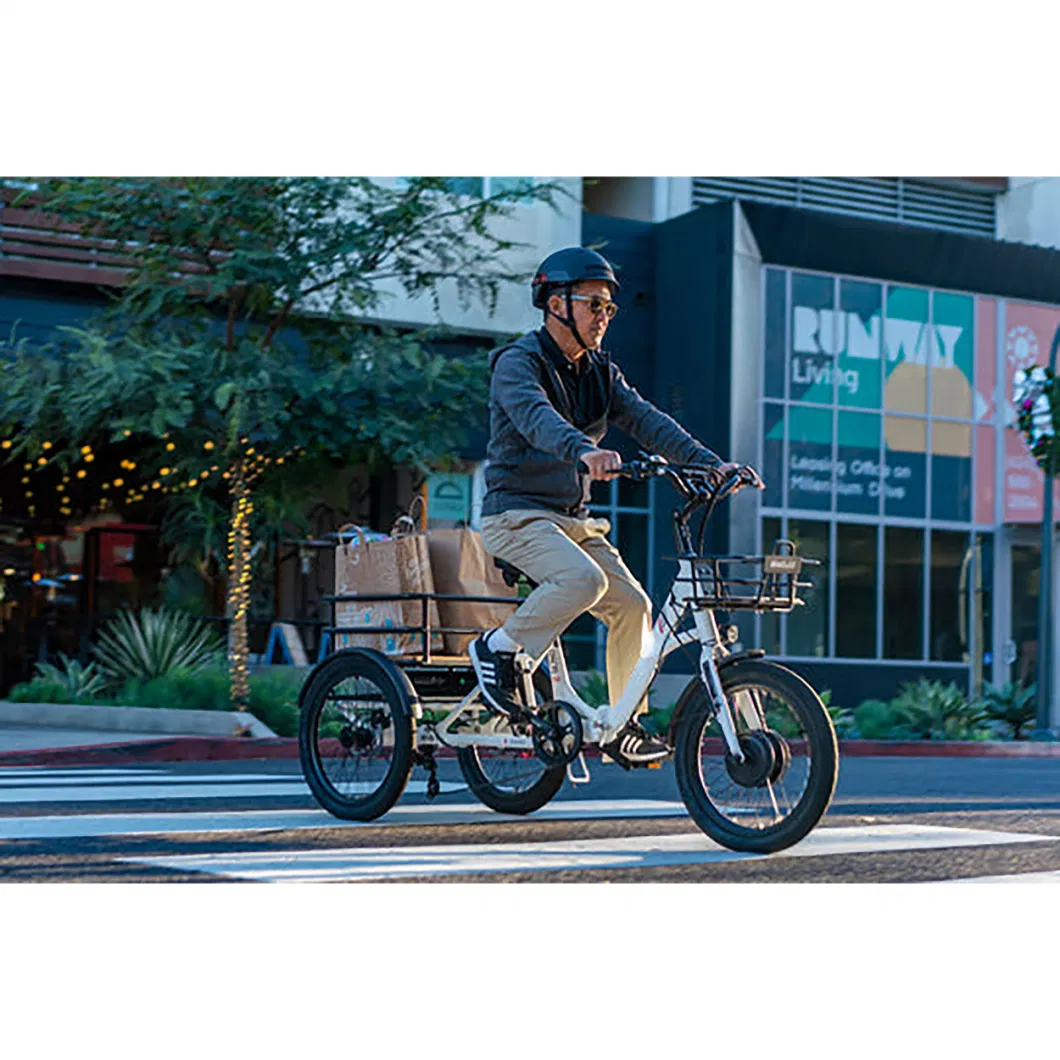 500W 3 Wheel Electric Tricycle Bicycle with Rear Cargo