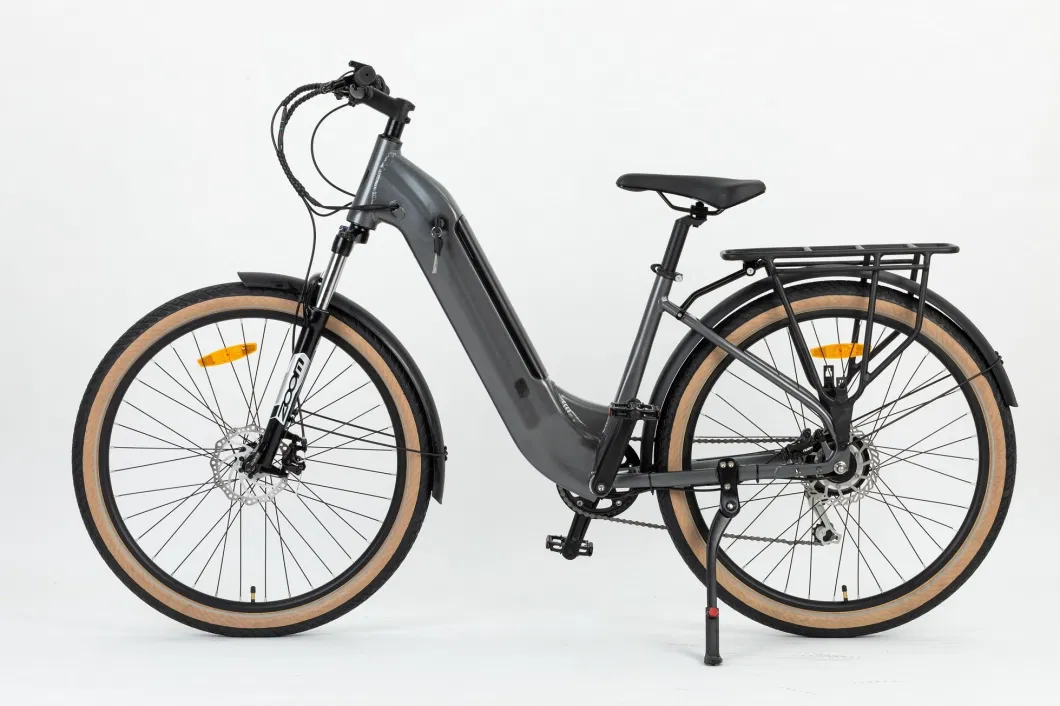 Urban Road Commute Safety Electric City Bike Electric Bicycle for Food Delivery
