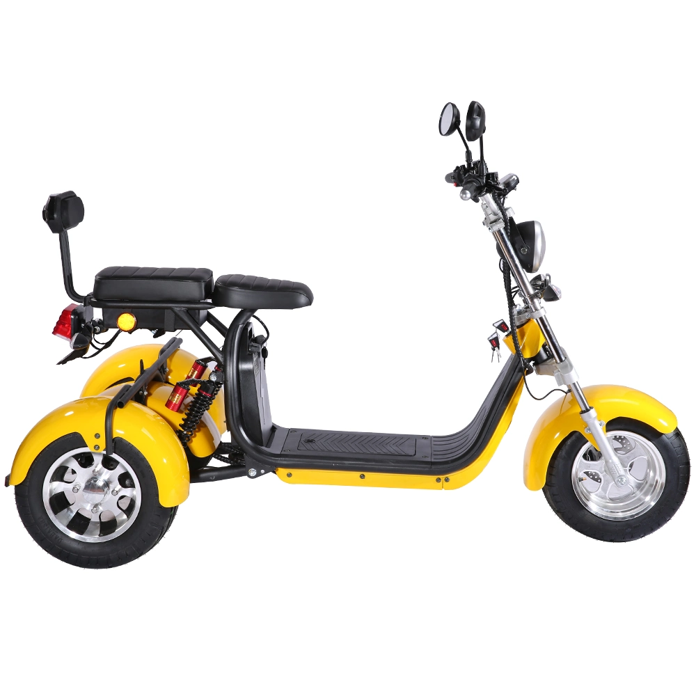 Removable Battery 2000W Motor Three-Wheel Electric Bike EEC/CE Scooter for Adult