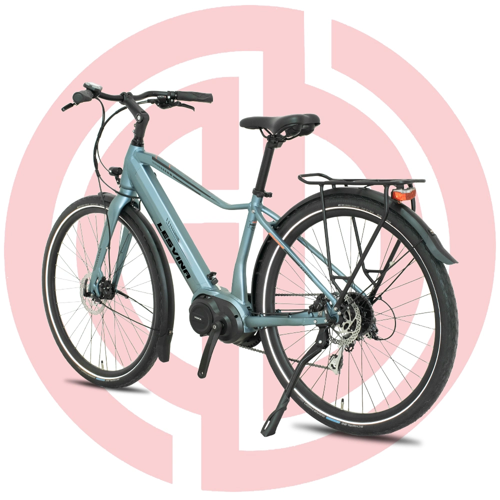 Customized Electric Bicycle Quality Ebike for Man and Woman