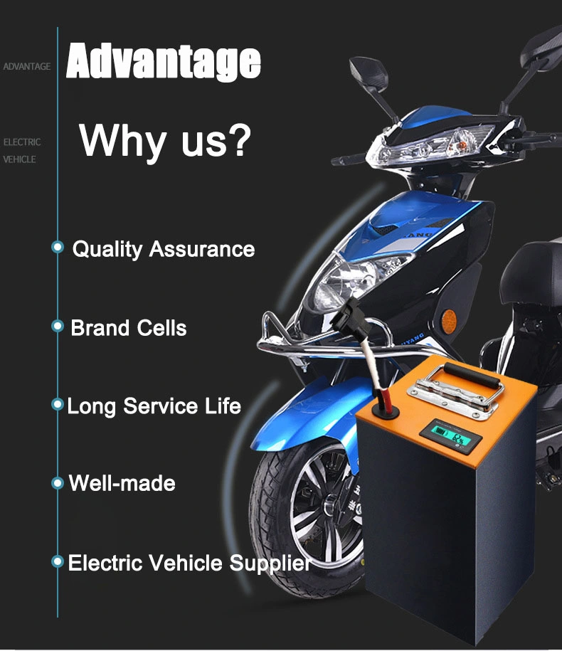 48V 20ah Lithium Ion LiFePO4 Electric Bike Motorcycles Scooter Battery