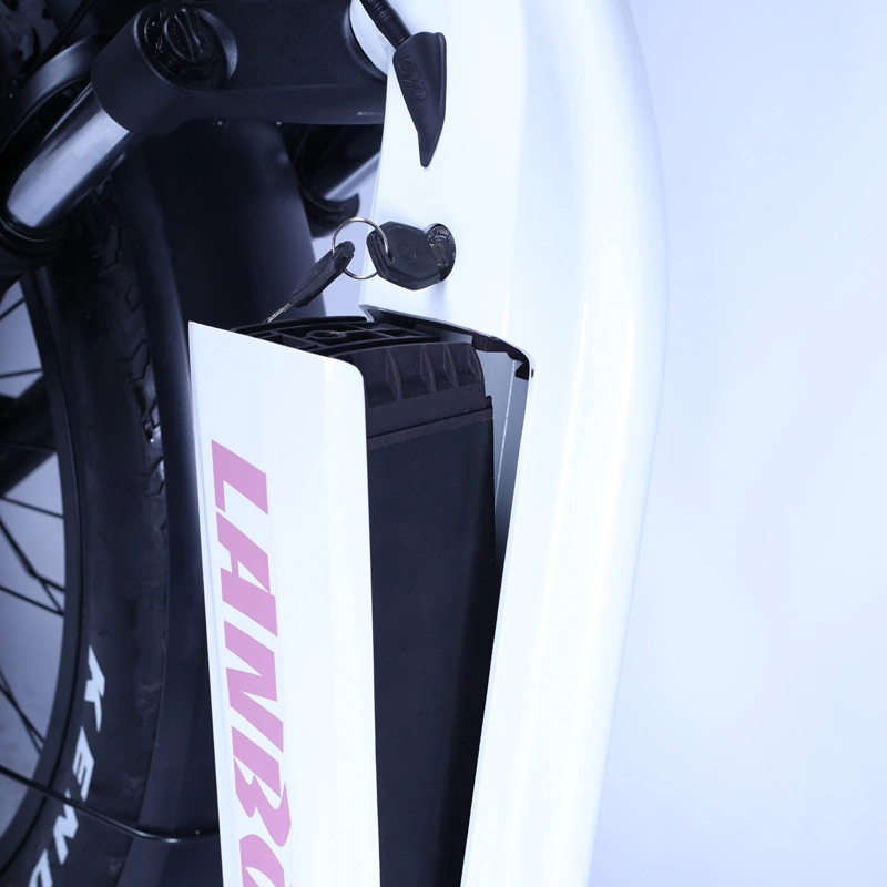 2021 New Design Step Through Fat Tire Electric Bike 5% Discount
