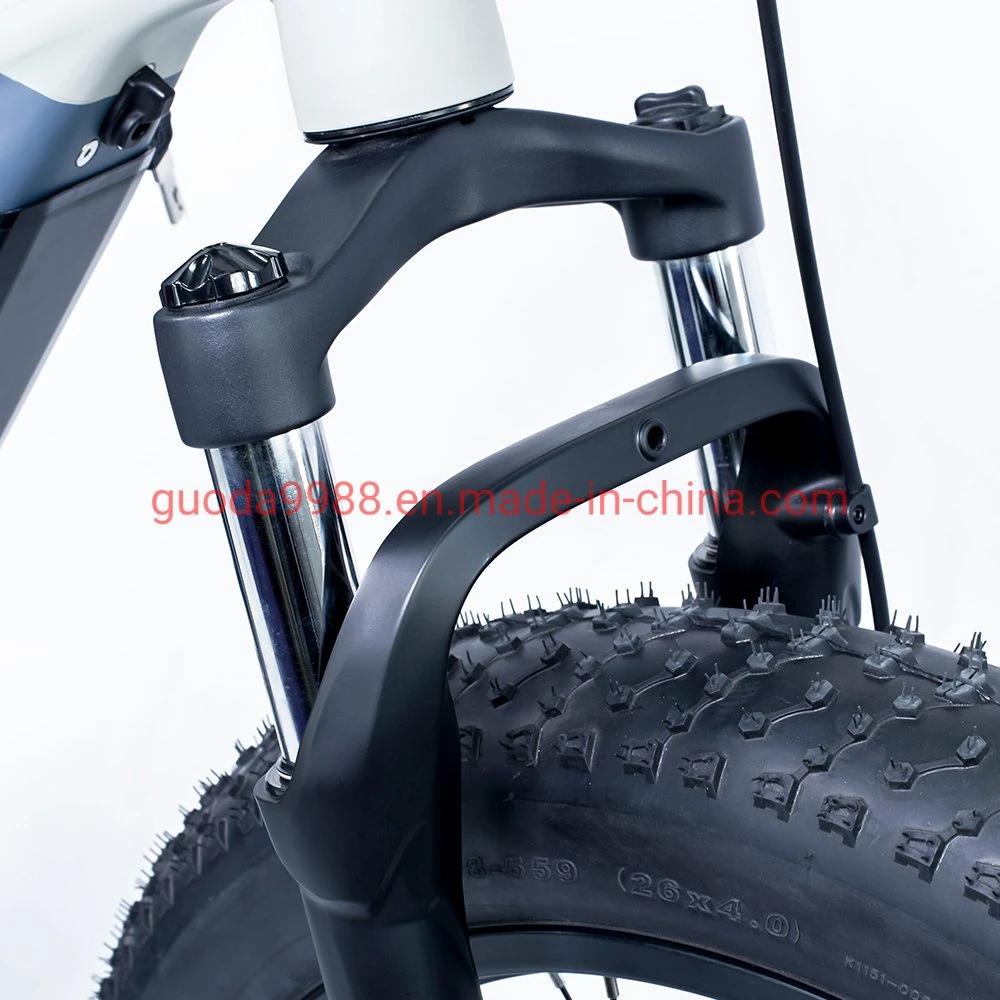 26 Fat Tyre 750W Electric Bicycle Snow Ebike for Adults