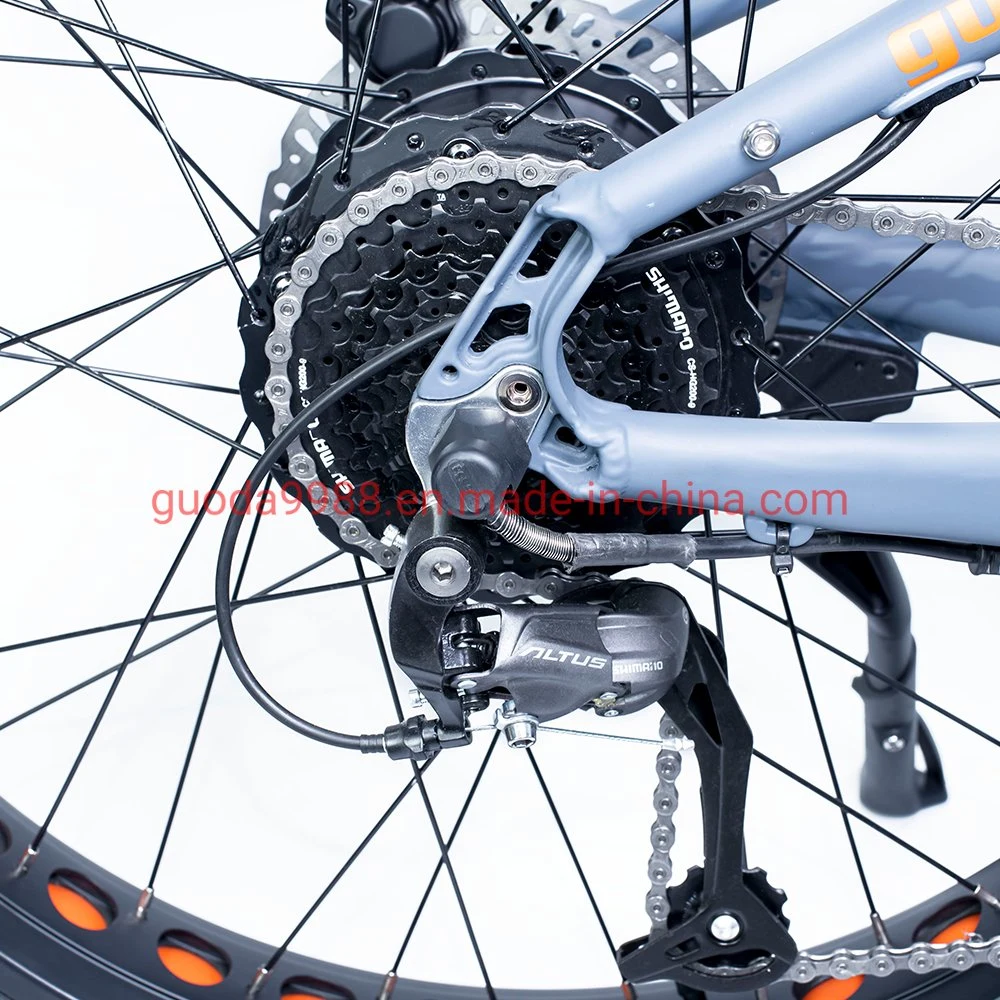 26 Fat Tyre 750W Electric Bicycle Snow Ebike for Adults