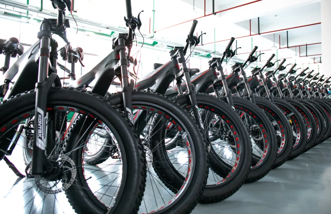 Factory Wholesale High Power 1000W Disc Brake Bike Electric Bicycle