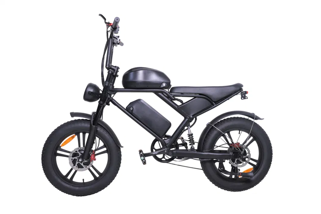 Electric Bike Snow Mountain E-Bike Bicycle for Adult Vehicle Dirt E Bike