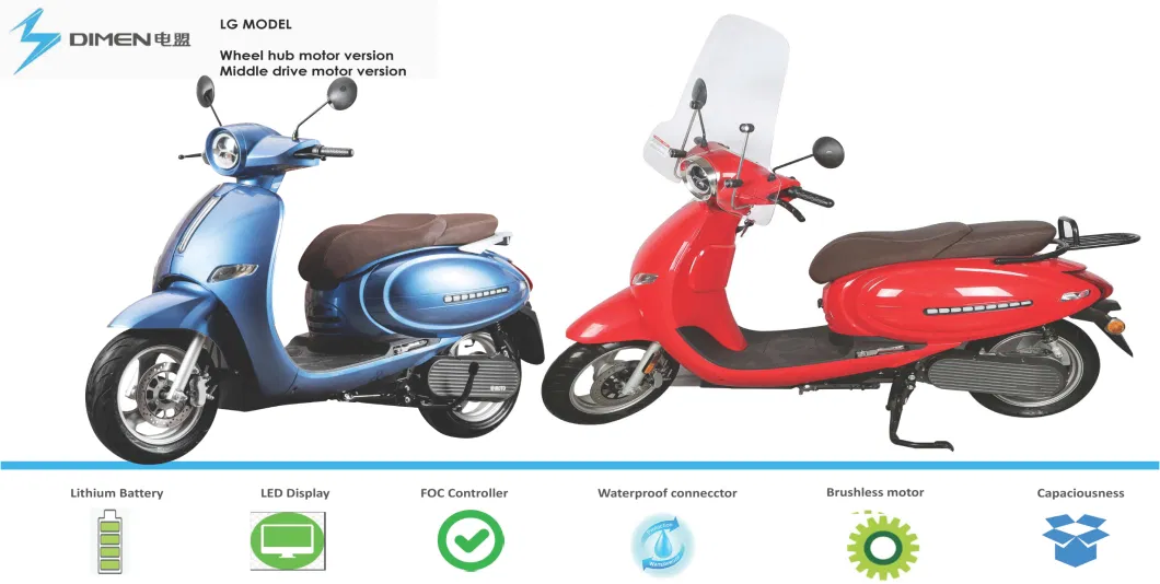 The Latest High-End EEC Electrical Scooter Motorcycle with Lithium Battery