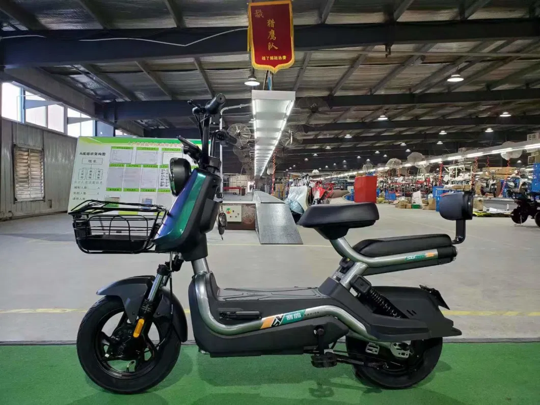Saige 500W 48V 12ah 35km/H Electric Scooter for Adult