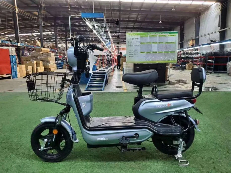 Saige China Factory Direct Sell Cheaper Electric Bike with EEC Coc