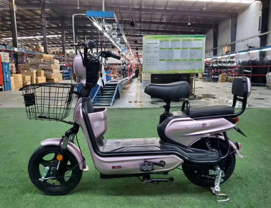 Saige China Factory Direct Sell Cheaper Electric Bike with EEC Coc