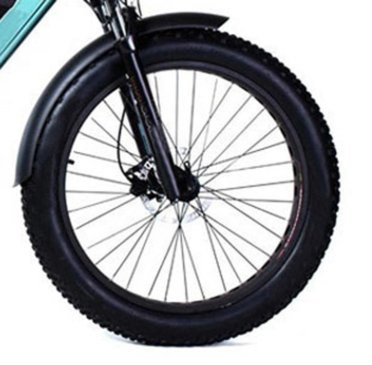 Popular Electric Bicycle with Lithium Battery, Fat Tire (ML-FB006)