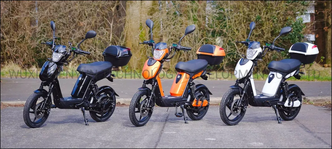 Popular European 16 Inch Ebike 800W Electric Scooter with CE EEC L1e Approval Mini Motorcycle 70km Long Range