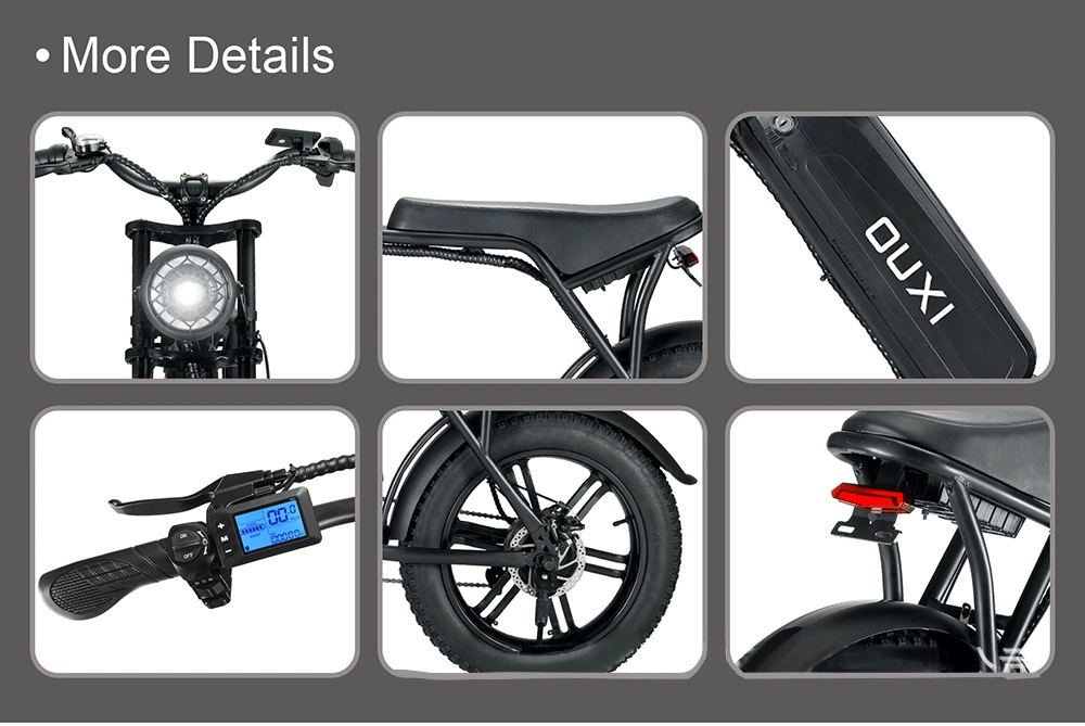 1000W Dual Drive Electric Snowmobile Beach Variable Speed E Bikes Electric Mountain Bicycle Electric Bikes