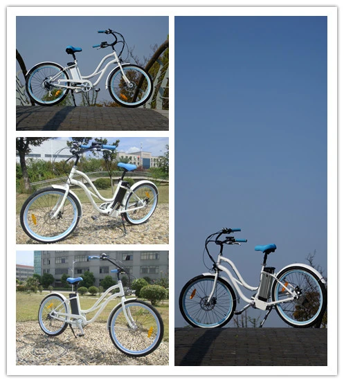 Female Style Strong 36V 250W Electric Bike China for Sale