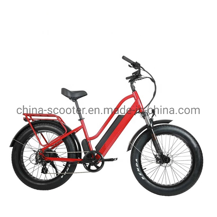 Popular Electric Bicycle with Lithium Battery, Fat Tire (ML-FB006)