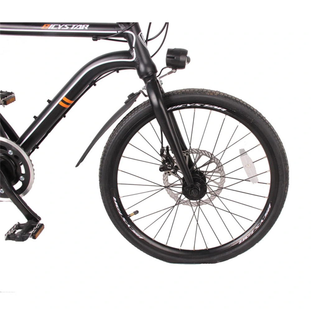 Importer Electric Bicycleisrael Electric Bikeisrael Electric Folding Bikeladies E Bikeladies Ebike