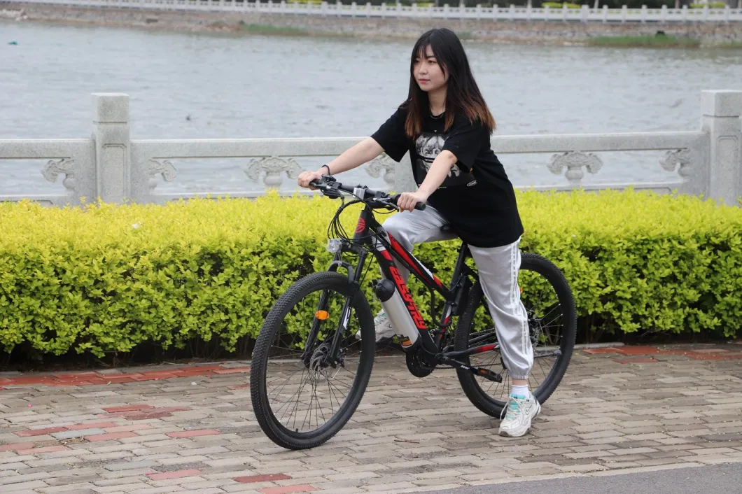 Cost-Effective Easy-Try Bicycle 250W 21 Speed Electric Cycle 26 Inch MTB Ebike