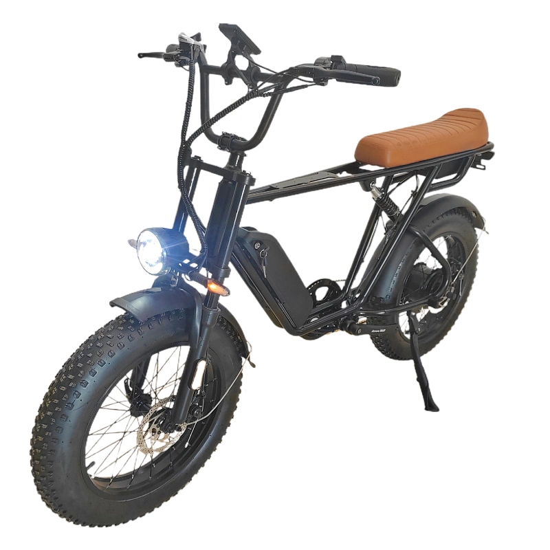 Popular New High-Quality 20 New Fat Tire Electric Bike