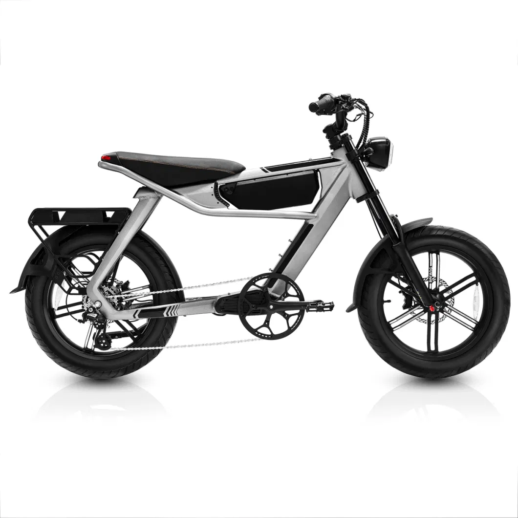 350W 48V 24&quot; 20-40km/H Mountain Scooter Electric Motorcycle Electric Scooter Electric Dirt Bicycle