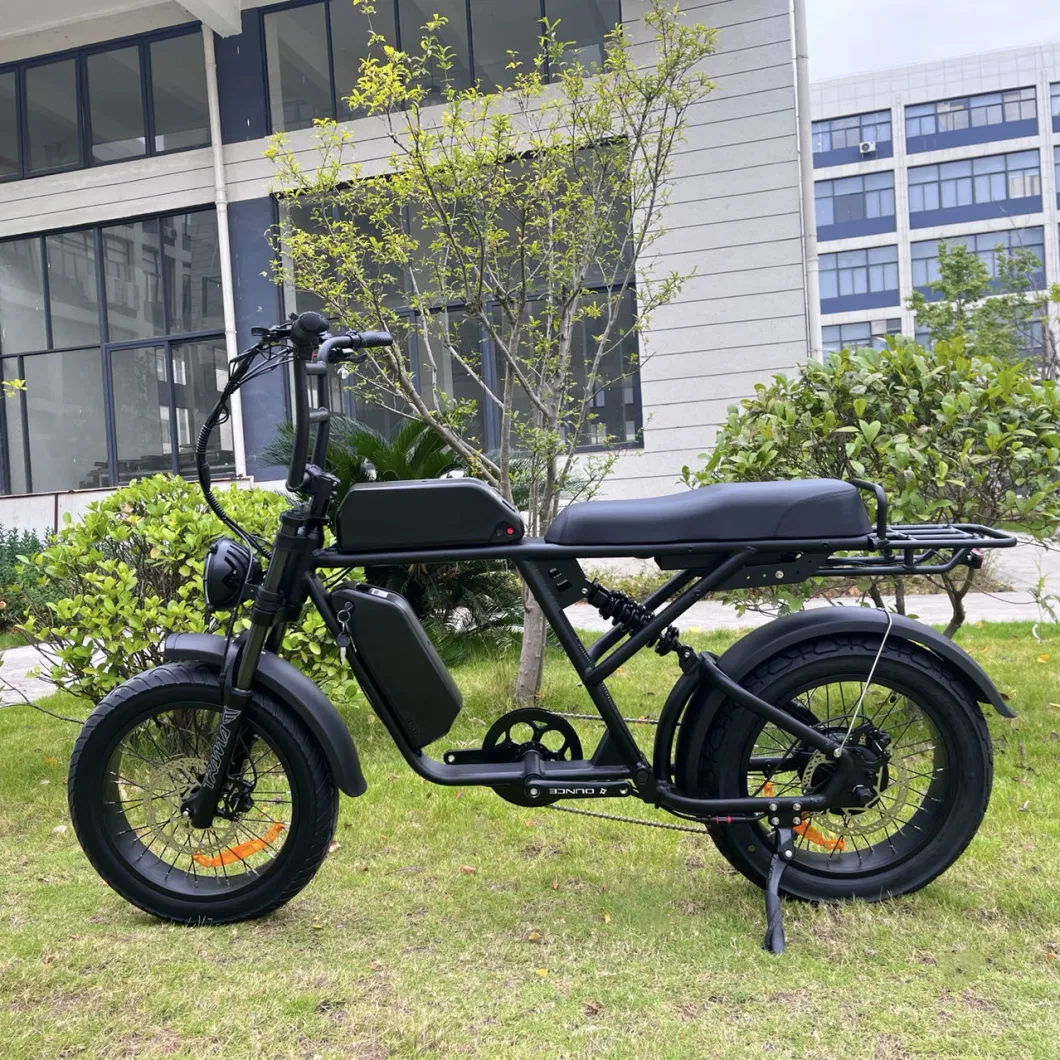 Wholesale OEM Big Power 1000W Mountain Electric Bike Adult Fat Tyre Beach Cruise Electric Bike