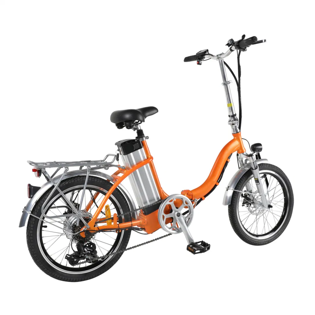 Customized Electric Bike 350W for Adults