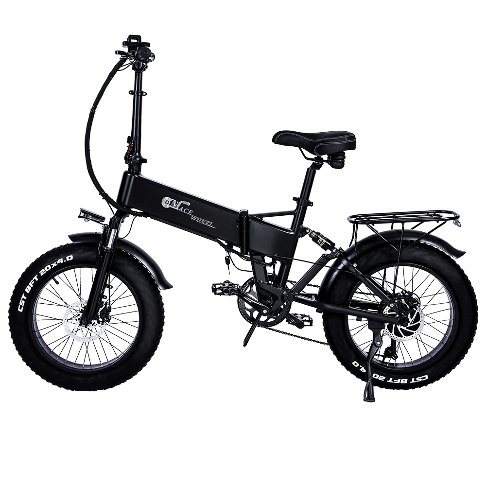 Rx20 Foldable 20inch Fat Tyres Electric Bike Adult