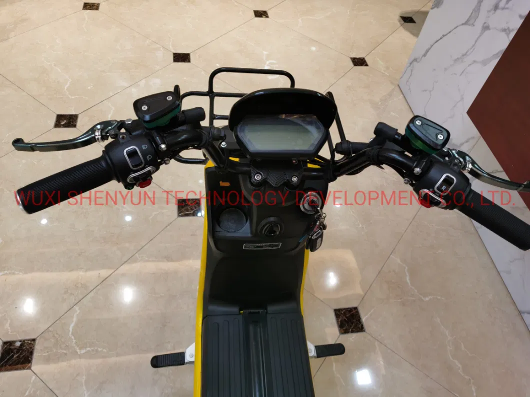 Wuxi Syev Hot Sell Durable 45km/H Steel Electric Delivery Bike with Big Carry Box