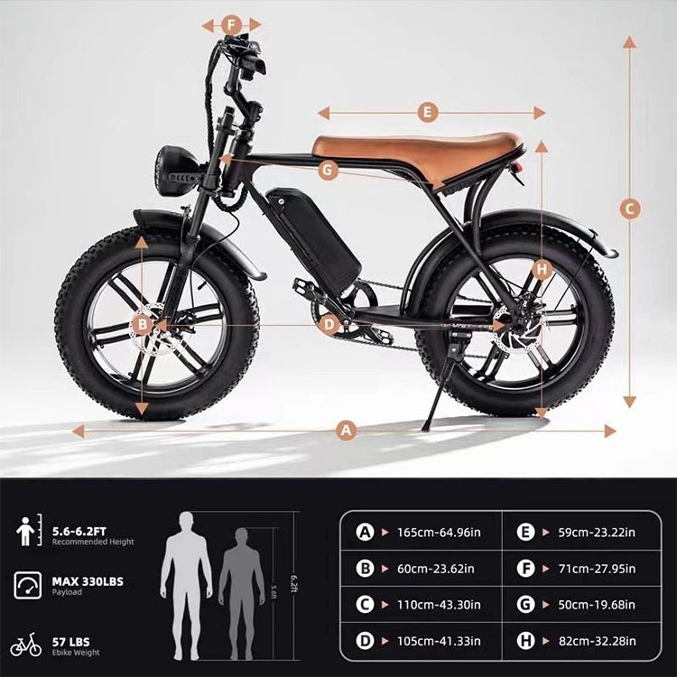 Top Supplier Hot Selling Lithium-Ion Battery Cycle Electric Bicycle